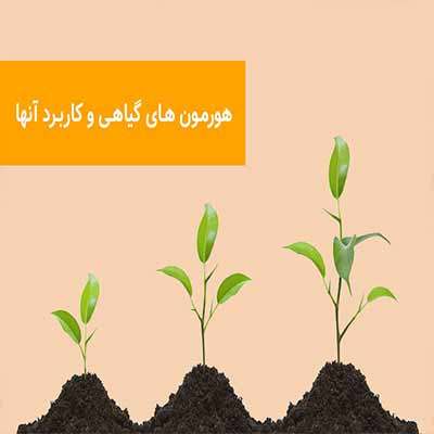 هورمون های گیاهی و کاربرد آن در گیاه و باغبانی (ppt) 29 اسلاید