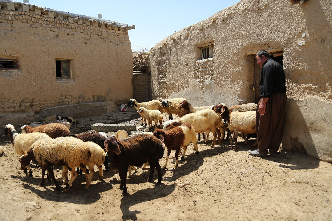 پاورپوینت اشتباهات راهبردی در برنامه ریزی توسعه روستا طی دو دهه اخیر