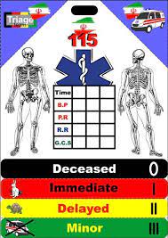 پاورپوینت در مورد تاریخچه تریاژ