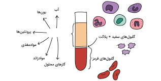 پاورپوینت درصد اجزای تشکیل دهنده خون